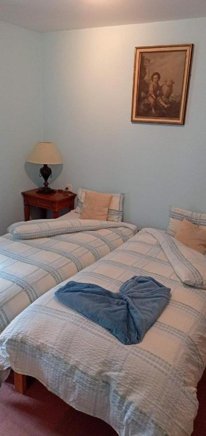 Garni Fluela Susch Hotel Екстериор снимка