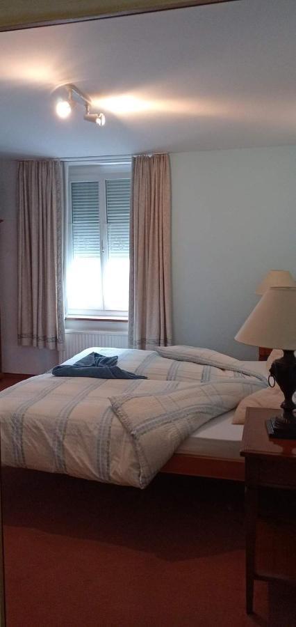 Garni Fluela Susch Hotel Екстериор снимка